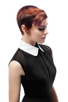 Audrey Cut 01