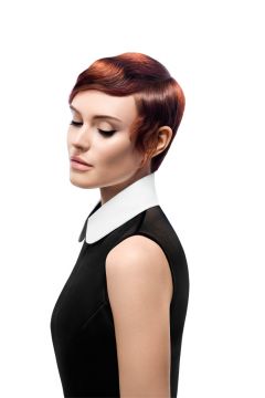 Audrey Cut 07